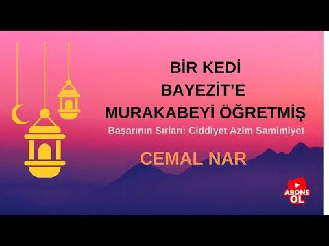 Embedded thumbnail for BİR KEDİ BAYEZİTE DERS VERDİ (Murakabe)