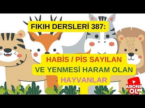 Embedded thumbnail for FIKIH DERSLERİ 387: HABİS / PİS SAYILAN VE YENMESİ HARAM OLAN HAYVANLAR