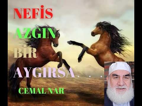 Embedded thumbnail for NEFİS AZGIN BİR AYGIRSA... (İnsan Kendini Eğitmelidir)