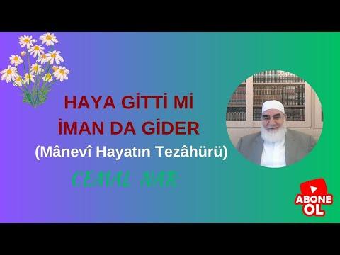 Embedded thumbnail for HAYA GİTTİ Mİ İMAN DA GİDER (Mânevî Hayatın Tezâhürü)