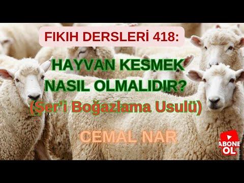 Embedded thumbnail for FIKIH DERSLERİ 418: HAYVAN KESMEK NASIL OLMALIDIR? (Şer’i Boğazlama Usulü)