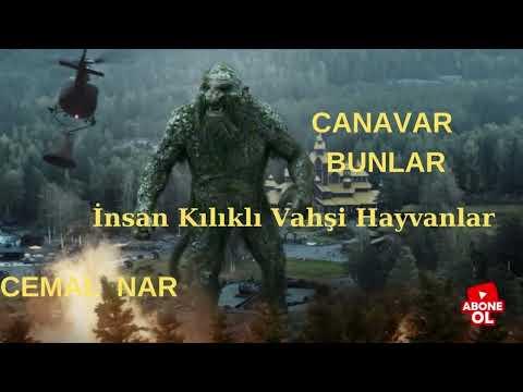 Embedded thumbnail for CANAVAR BUNLAR (İnsan Kılıklı Vahşi Hayvanlar)