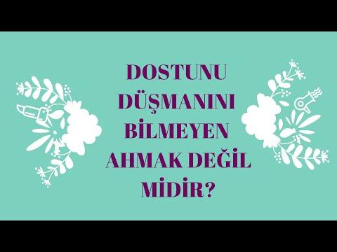 Embedded thumbnail for DOSTUNU DÜŞMANINI BİLMEYEN AHMAK DEĞİL MİDİR? (Müslüman Ahmak Olmamalı)