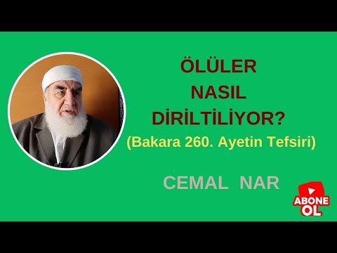 Embedded thumbnail for ÖLÜLER NASIL DİRİİLTİLİYOR? (Bakara 260. Ayetin Tefsiri)