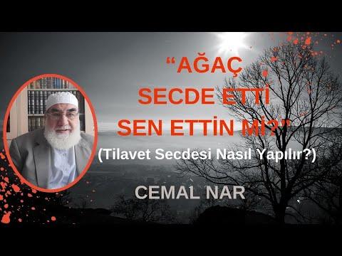 Embedded thumbnail for “AĞAÇ SECDE ETTİ SEN ETTİN Mİ” (Tilavet Secdesi Nasıl Yapılır?)