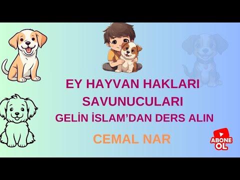 Embedded thumbnail for EY HAYVAN HAKLARI SAVUNUCULARI GELİN İSLAM’DAN DERS ALIN