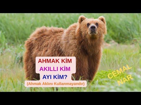 Embedded thumbnail for AHMAK KİM AKILLI KİM AYI KİM? (Ahmak Aklını Kullanmayandır)