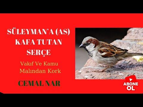 Embedded thumbnail for SÜLEYMAN’A (AS) KAFA TUTAN SERÇE (Vakıf Ve Kamu Malından Kork)